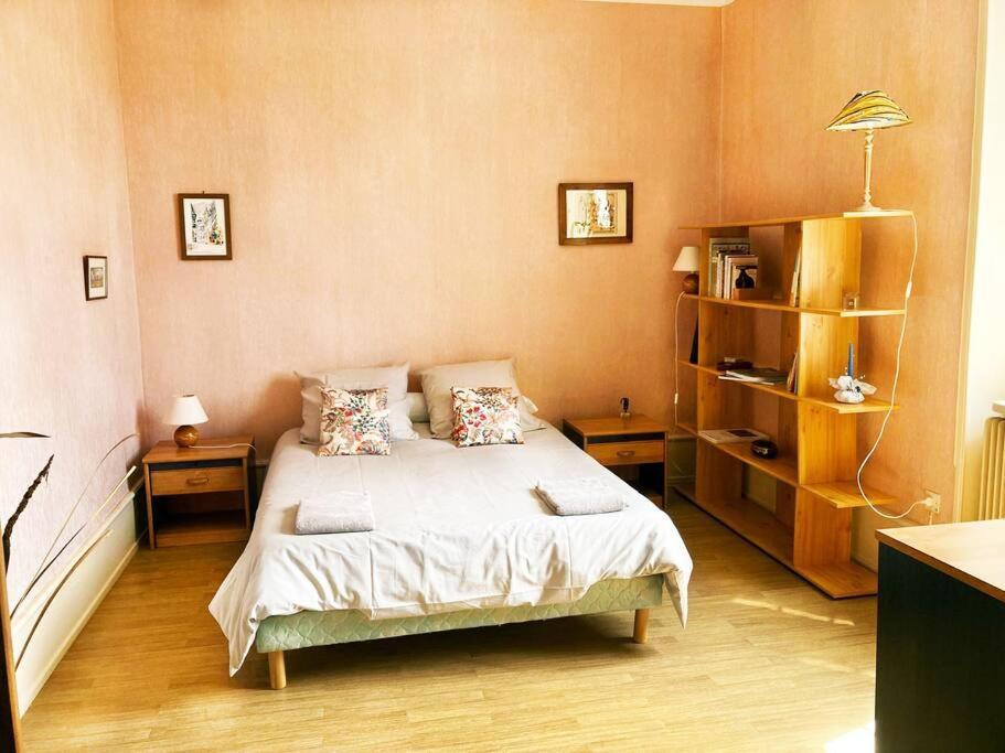 Charmant T3 Proche Du Centre-Ville Колмар Екстериор снимка